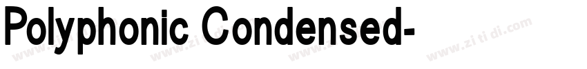 Polyphonic Condensed字体转换